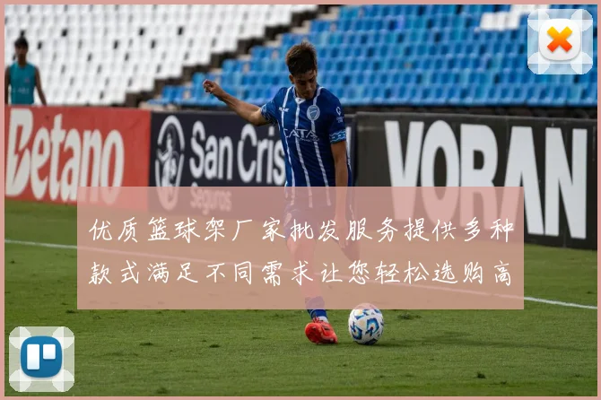 优质篮球架厂家批发服务提供多种款式满足不同需求让您轻松选购高性价比产品