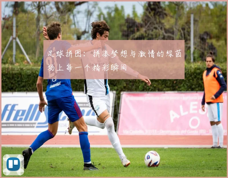 足球拼图：拼凑梦想与激情的绿茵场上每一个精彩瞬间