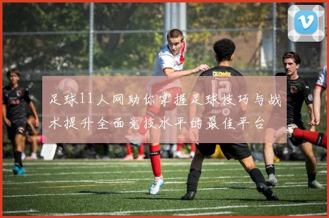 足球11人网助你掌握足球技巧与战术提升全面竞技水平的最佳平台