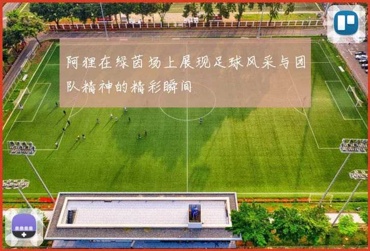 阿狸在绿茵场上展现足球风采与团队精神的精彩瞬间