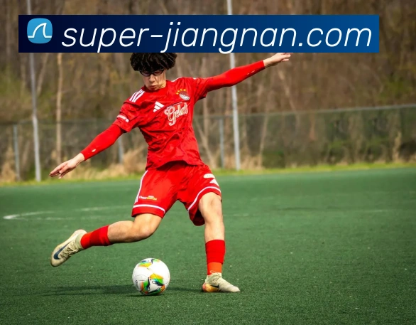 江南下载服务体系